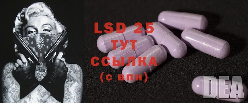 ЛСД экстази ecstasy  Нолинск 